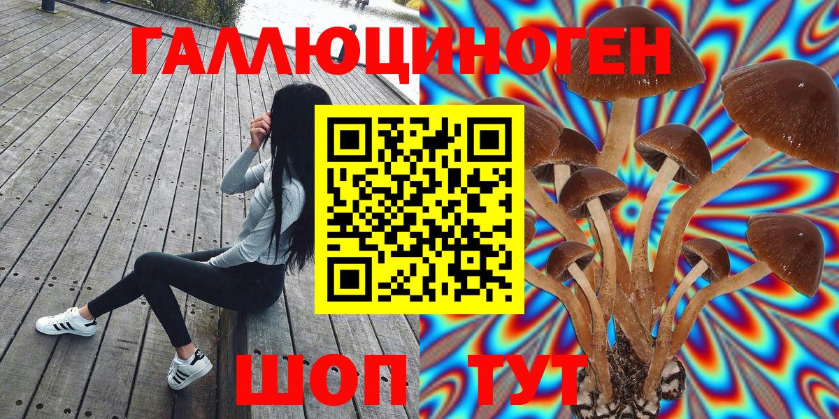 Заводоуковск  Псилоцибиновые грибы Psilocybine cubensis  Вход с VPN  Галлюциногенные грибы Magic Shrooms 